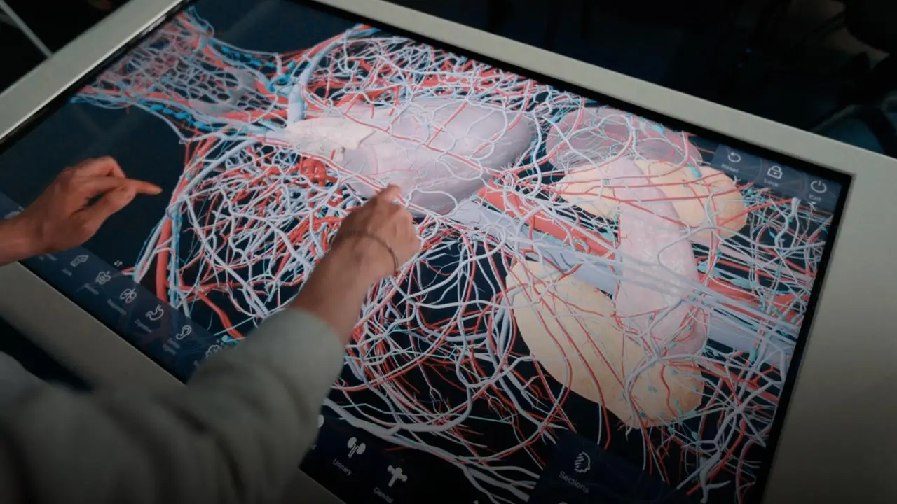 file - 2026-04-25T160545.038.webp